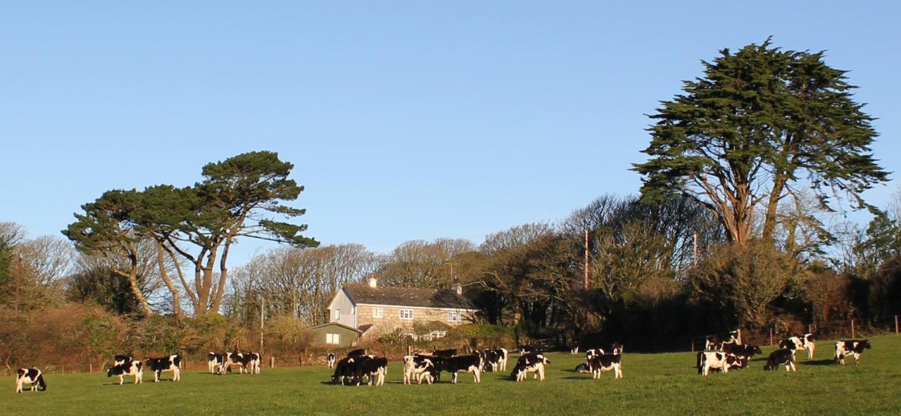 Coombe Farmhouse Bed & Breakfast St Ives Exterior foto