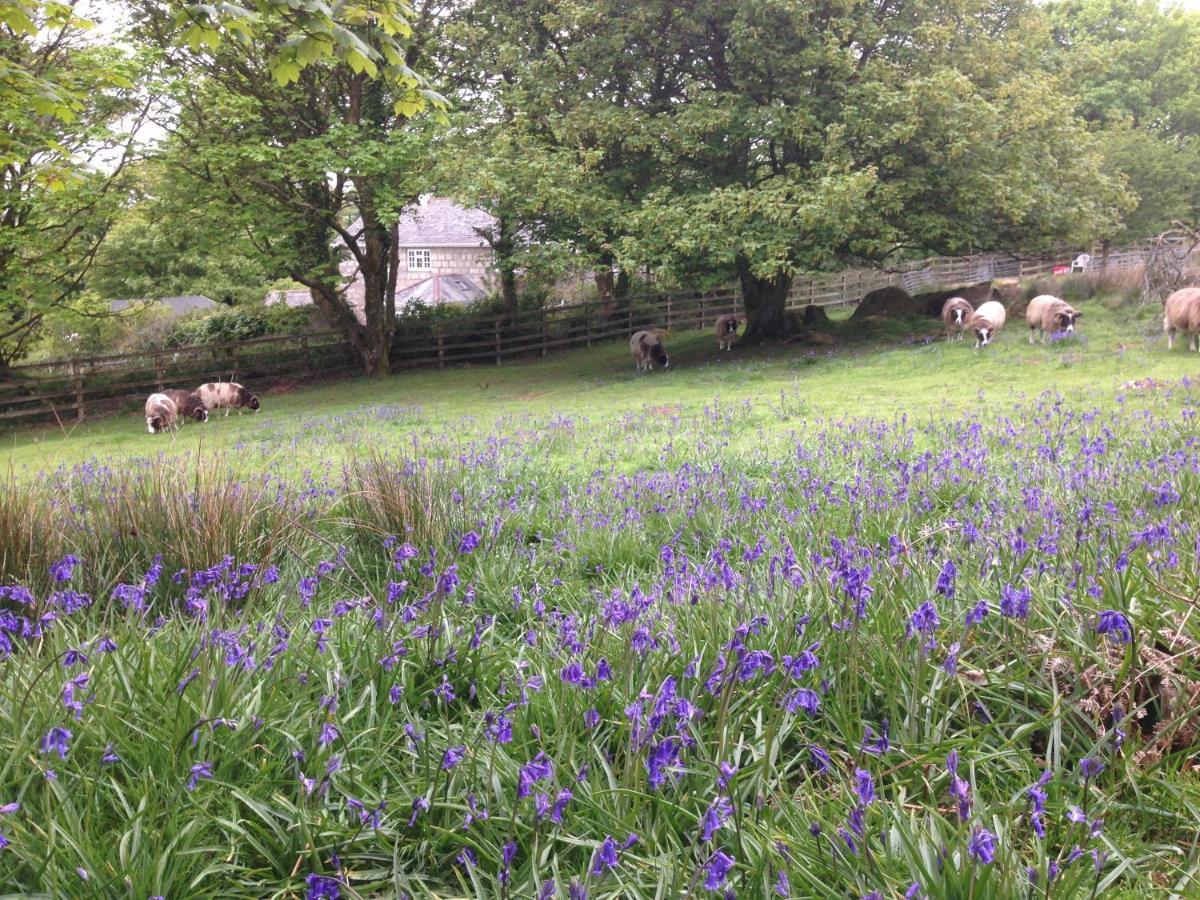 Coombe Farmhouse Bed & Breakfast St Ives Exterior foto